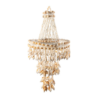 Chandelier with real shells     Size: 60x25cm    Color: natural-coloured