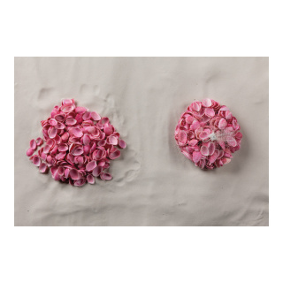 Coquillages dans le filet      Taille: 300g, 2-4cm    Color: rose