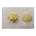 Coquillages dans le filet      Taille: 300g, 2-4cm    Color: jaune clair