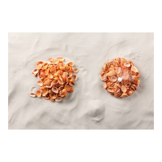 Coquillages dans le filet      Taille: 300g, 2-4cm    Color: apricot