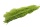 Pampasgras Dadang Länge:140 cm, Farbe: Grün