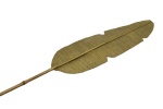 Stiel Palmblatt, L190cm B16cm, Gold