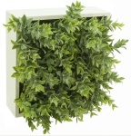 Blumenbox TE GRIS für Innen und Außen, 20x20x12cm