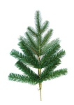 Weihnachtsbaum "Izabella" H180cm Ø95cm -...
