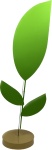 Blatt Sperrholz XL 3-Blätter 180x60cm Farbe: Grün