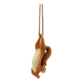 Eichhörnchen aus Kunstharz, ca.38cm Seil hängend     Groesse:34x8x13cm    Farbe:braun