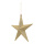 Stern aus Kunststoff, beglittert, mit Hänger     Groesse:20cm    Farbe:gold