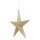 Stern aus Kunststoff, beglittert, mit Hänger     Groesse:30cm    Farbe:gold