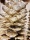 Tannenzapfen Zuckerkiefer 25-45cm, Farbe: Goldglitzer