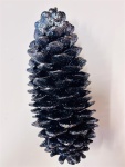 Tannenzapfen Zuckerkiefer 25-45cm, Farbe: Schwarzglitzer