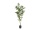 EUROPALMS Hanfpflanze, Kunstpflanze, 120cm