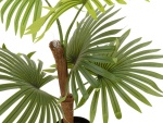 EUROPALMS Fan palm, artificial plant, 88cm