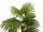 EUROPALMS Fan palm, artificial plant, 130cm