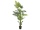 EUROPALMS Areca Palme, Kunstpflanze, 180cm