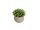 EUROPALMS Table plants in pots, artificial plant, Set of 3
