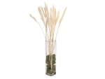 JOLIPA Pampas grass straw bunch, dried, natur, 75cm