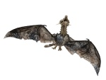 EUROPALMS Halloween Flying Dragon, animated, brown, 120cm