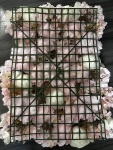 Flower panel with peonies - Material:  - Color: pink/white - Size: 50x50cm