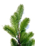 Tannenbaum Spritzguß und echtem Holzstamm,H:150cm, Sonderverkauf