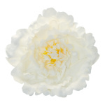 Peony flower head with hanger - Material:  - Color: white...