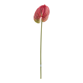 Flamingoblume aus Kunststoff, biegsam     Groesse: 63cm, Stiel: 48cm    Farbe: pink