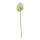 Fleur flamant rose en plastique, flexible     Taille: 63cm, tige: 48cm    Color: blanc
