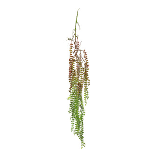 Hängepflanze aus Kunststoff, zum Hängen     Groesse: 120cm    Farbe: grün/braun
