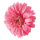 Tête de gerbera en soie artificielle, à suspendre     Taille: Ø 30cm    Color: rose
