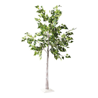 Birkenbaum Stamm aus Hartpappe, Blüten aus Kunstseide     Groesse: 180cm, MDF Holzfuß: 21,5x21,5x3,5cm    Farbe: grün/weiß