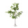 Birch tree out of cardboard/artificial silk     Size: 120cm, MDF base: 17x16,5x3,5cm    Color: green/white