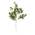 Birkenzweig aus Kunstseide, biegsam     Groesse: 90cm, Stiel: 31cm    Farbe: grün/weiß