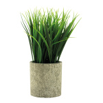 Grass in pot out of plastic     Size: 22cm, pot: Ø...