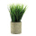 Grass in pot out of plastic     Size: 22cm, pot: Ø 7,5cm    Color: green