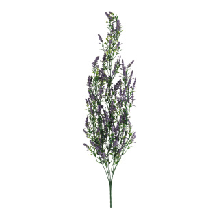 Lavendel Hänger 5-fach, aus Kunststoff     Groesse: 73cm    Farbe: lila/grün