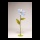 Schmuckkörbchen Blume aus Papier, mit kurzem Stiel     Groesse: Ø 40cm    Farbe: blau/lila