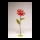 Cosmea fleur en papier, avec tige courte     Taille: Ø 40cm    Color: rouge