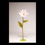 Cosmea fleur en papier, avec tige courte     Taille:...