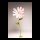 Schmuckkörbchen Blume aus Papier, mit kurzem Stiel     Groesse: Ø 80cm    Farbe: pink