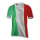 Football shirt out of plastic, double-sided printed, flat     Size: 60x50cm    Color: green/white/red
