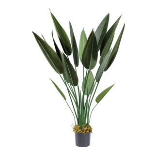 Bird of paradise in pot 18 leaves, out of plastic     Size: 110cm, pot: Ø 15cm    Color: green