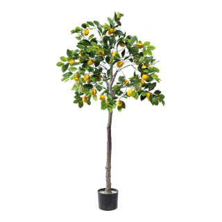 Zitronenbaum im Topf aus Kunststoff     Groesse: 150cm, Topf: Ø 15cm    Farbe: grün/gelb