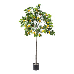 Zitronenbaum im Topf aus Kunststoff     Groesse: 150cm,...