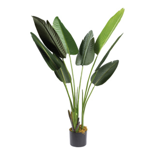 Bananier en pot 8 feuilles, en plastique     Taille: 120cm, Pot : Ø 12,5cm    Color: vert
