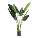 Banana palm tree 8 leaves, out of plastic     Size:...