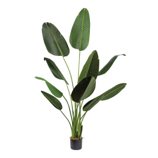 Banana palm tree 10 leaves, out of plastic     Size: 160cm, pot: Ø 15cm    Color: green
