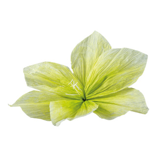 Tête de fleur en papier, avec tige courte, flexible     Taille: Ø 60cm, tige: 5cm    Color: vert/blanc