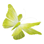 Papillon avec clip en papier, flexible     Taille: 60cm...