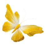 Butterfly with clip out of paper, flexible     Size: 60cm...