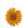 Blüte aus Papier mit Hänger     Groesse: 60cm    Farbe: orange/weiß