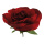 Tête de rose en papier, avec tige courte     Taille: Ø 50cm    Color: rouge